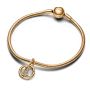 Charm Sterling Silver 925 Gold Plated Zodiac Sign Aquarius, Pendant Bracelet