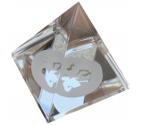 The clear glass pyramid with the moon sign Sagittarius