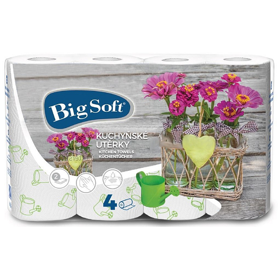 Big Soft Spring paper kitchen towels with print 2 layers 4 pieces
