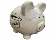 Albi Piggy bank pearl Let's be in a package! 17 x 12 x 13 cm