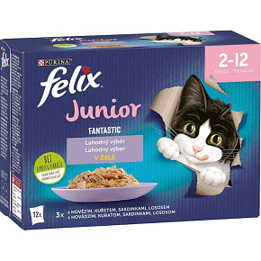 Felix Fantastic Junior pouches for cats selection in jelly, 12× 85 g