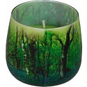 Essences of Life Forest aromatic candle in glass 100 g
