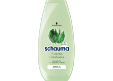 Schauma 7 Herbal shampoo for normal to oily hair 250 ml