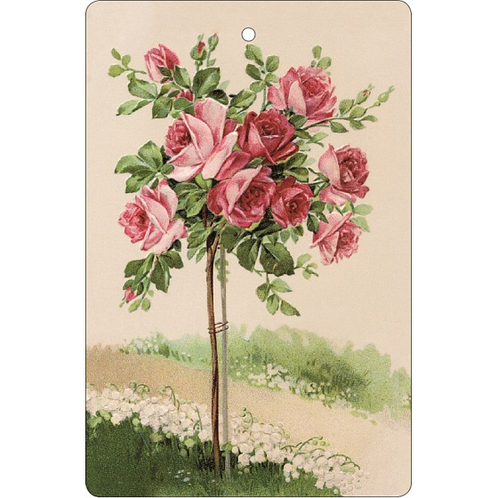Bohemia Gifts Aromatic scented card Rose 10.5 x 16 cm