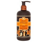 Tesori d Oriente Fior di Loto liquid soap 300 ml