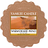Yankee Candle Warm Desert Wind - warm desert wind fragrant wax for aroma lamp 22 g