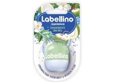Labellino Coconut + Aloe 7g 8840 Lip Balm