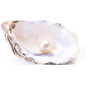 Millefiori Milano Laundry Pearl - Pearl fragrance card 3 pieces