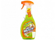 Mr. Muscle Clean & Shine Citrus Lime green cleaner spray 500 ml