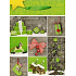 Nekupto Gift paper bag 32.5 x 26 x 13 cm Christmas 1241 50 WBL