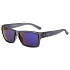 Relax Formosa Polarized sunglasses R2292D