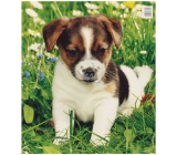 Press Plastic bag 45 x 50 cm Puppy 1 piece