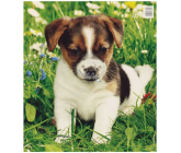Press Plastic bag 45 x 50 cm Puppy 1 piece