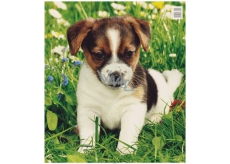 Press Plastic bag 44 x 50 cm Puppy 1 piece