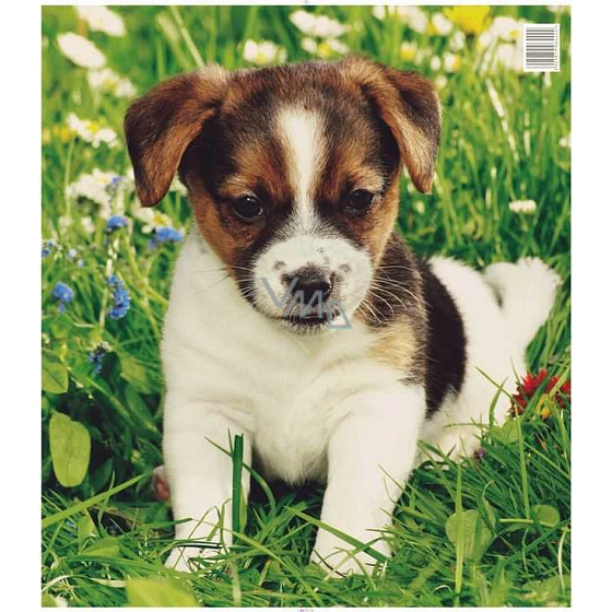Press Plastic Bag 45 x 50 cm Puppy 1 piece
