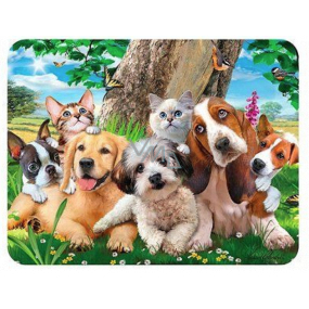 Prime3D magnet - Puppies 9 x 7 cm