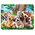 Prime3D magnet - Puppies 9 x 7 cm