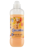Coccolino Orange Rush concentrated fabric softener 39 doses 975 ml