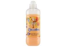 Coccolino Orange Rush concentrated fabric softener 39 doses 975 ml