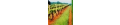 AgroBio® Touchdown Quattro