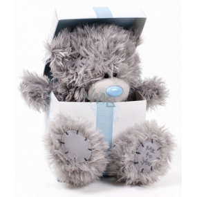 Me to You Teddy bear as a gift 17 cm