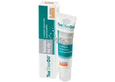 Dr. Müller Tea Tree Oil balm for dry and stressed lips 10 ml