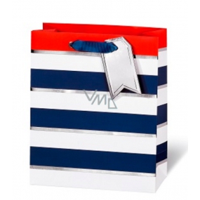 BSB Luxury gift paper bag 23 x 19 x 9 cm Blue-white stripes LDT 392 - A5