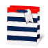 BSB Luxury gift paper bag 23 x 19 x 9 cm Blue-white stripes LDT 392 - A5