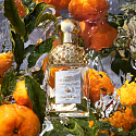 Guerlain Aqua Allegoria Mandarine Basilic Eau de Toilette for women 75 ml