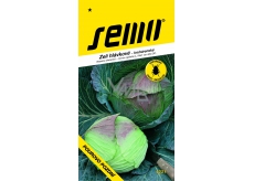 Semo Cabbage - Pourovo late 0.6 g