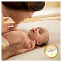 Pampers Premium Care 2 Mini 3-6 kg disposable diapers 80 pieces