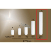 Lima Gastro smooth candle white cylinder 40 x 250 mm 1 piece