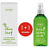 Ziaja Olive leaves SPF 20 nourishing concentrated cream 50 ml + Olive leaves with vitamin C toning water 200 ml, duopack