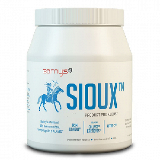 Barnys Sioux MSM for Joints and the Entire Musculoskeletal System 600 g