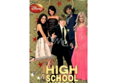Children's gift bag L Disney High School Musical
