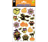 Glow-in-the-dark stickers with a witch on a broom 25 x 14 cm