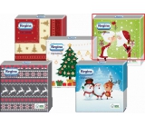Regina Paper napkins 1 ply 33 x 33 cm 20 pieces Christmas Light green, Santa