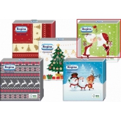 Regina Paper napkins 1 ply 33 x 33 cm 20 pieces Christmas Light green, Santa