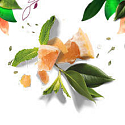 Herbal Essences Volume White Grapefruit & Mosa Shampoo with grapefruit and mint, for larger hair volumes, without parabens 400 ml