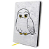 Epee Merch Harry Potter - Hedvika Block A5 20 x 14 cm premium lined