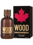Dsquared2 Wood pour Homme Eau de Toilette for men 100 ml