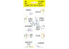 Arch Spice Stickers in Flower Blister 44 x 32 mm 75 Labels