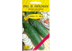 HolmanF1 Linda Mix cucumber salad 1.5 g