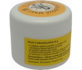 Propolis ointment for cracked skin, burns, antifungal 45 g