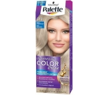 Schwarzkopf Palette Intensive Color Creme Hair Color Tint C10 Icy Silver Fawn
