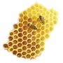 Bione Cosmetics Honey and Q10 Nourishing Face Cream with Royal Jelly 51 ml