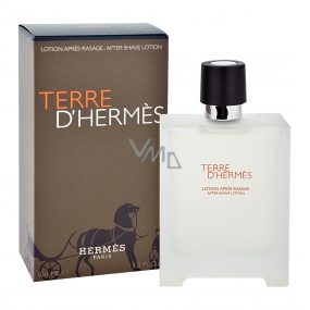 Hermes Terre D Hermes AS 100 ml mens aftershave