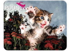 Prime3D cards - Kitten 16 x 12 cm