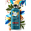 Herbal Essences Repair Argan Oil Shampoo with argan oil, helps restore hair smoothness, without parabens 400 ml
