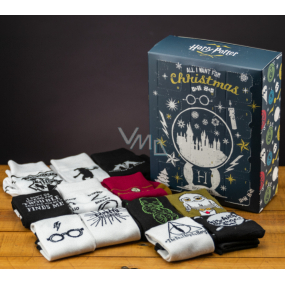 Epee Merch Harry Potter Advent Calendar 12 day sock calendar